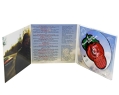 Russell Simins Public Places Формат: Audio CD (DigiPack) Дистрибьюторы: Virgin France, Gala Records Нидерланды Лицензионные товары Характеристики аудионосителей 2006 г Альбом: Импортное издание инфо 10942z.