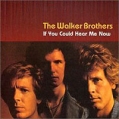 The Walker Brothers If You Could Hear Me Now Формат: Audio CD Дистрибьютор: Columbia Лицензионные товары Характеристики аудионосителей 2001 г Альбом: Импортное издание инфо 11088z.