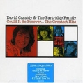 David Cassidy & The Partridge Family Could It Be Forever The Greatest Hits David Cassidy "The Partridge Family" инфо 11098z.